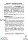 Vista preliminar de documento ANEXO RM 0319.pdf