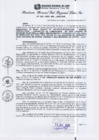 Vista preliminar de documento RGSRLS N°405-2013