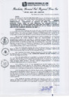 Vista preliminar de documento RGSRLS N°415-2013