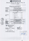 Vista preliminar de documento RGSRLS N°459-2013