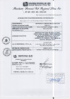 Vista preliminar de documento RGSRLS N°462-2013