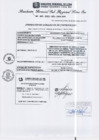 Vista preliminar de documento RGSRLS N°463-2013