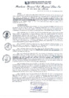 Vista preliminar de documento RGSRLS N°473-2013