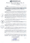 Vista preliminar de documento RGSRLS N°478-2013
