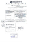 Vista preliminar de documento RGSRLS N°484-2013