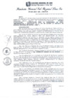 Vista preliminar de documento RGSRLS N°490-2013