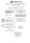 Vista preliminar de documento RGSRLS N°495-2013