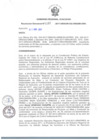 Vista preliminar de documento RD_207_2017.pdf