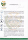 Vista preliminar de documento O.M-N°-06-2020-MDM.pdf