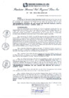 Vista preliminar de documento RGSRLS Nº503-2013