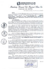 Vista preliminar de documento RGSRLS Nº504-2013