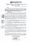 Vista preliminar de documento RGSRLS Nº507-2013