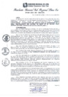 Vista preliminar de documento RGSRLS Nº509-2013