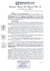 Vista preliminar de documento RGSRLS Nº522-2013