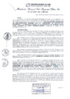 Vista preliminar de documento RGSRLS Nº523-2013