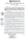 Vista preliminar de documento RGSRLS Nº532-2013