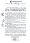 Vista preliminar de documento RGSRLS Nº534-2013
