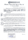 Vista preliminar de documento RGSRLS Nº539-2013
