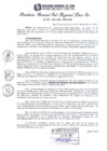 Vista preliminar de documento RGSRLS0 Nº544-2013