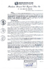 Vista preliminar de documento RGSRLS Nº545-2013