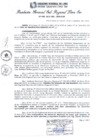 Vista preliminar de documento RGSRLS Nº548-2013