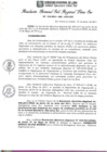 Vista preliminar de documento RGSRLS Nº010-2014