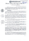 Vista preliminar de documento RGSRLS Nº043-2014