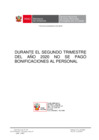 Vista preliminar de documento Bonificaciones II Trimestre 2020.pdf