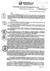Vista preliminar de documento RGSRLS N° 005-2020