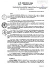 Vista preliminar de documento RGSRLS N° 008-2020