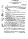 Vista preliminar de documento RGSRLS N° 012-2020