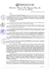 Vista preliminar de documento RGSRLS N° 017-2020