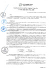 Vista preliminar de documento RGSRLS N° 101-2020