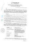 Vista preliminar de documento RGSRLS N° 128-2020