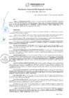 Vista preliminar de documento RGSRLS N° 132-2020