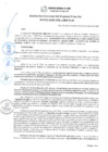 Vista preliminar de documento RGSRLS N° 133-2020