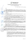 Vista preliminar de documento RGSRLS N° 137-2020
