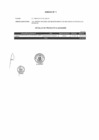Vista preliminar de documento Anexo N°1