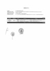 Vista preliminar de documento Anexo N°2