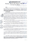 Vista preliminar de documento RGSRLS Nº111-2014
