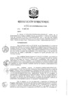 Vista preliminar de documento RD 132-2018