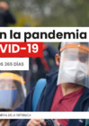 Vista preliminar de documento Presentación Informe de gestión "Control en la Pandemia por la COVID-19".pdf