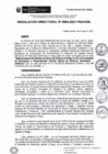 Vista preliminar de documento rd062-2021.pdf