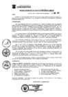Vista preliminar de documento Resolucion_2021_010.pdf
