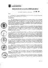 Vista preliminar de documento Resolucion_2021_028.pdf