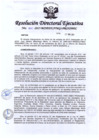 Vista preliminar de documento rd1100_2017.pdf