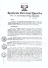 Vista preliminar de documento rd1024_2017.pdf