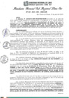 Vista preliminar de documento RGSRLS N°161-2014