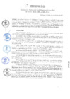 Vista preliminar de documento RGSRLS N° 102-2018