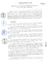 Vista preliminar de documento RGSRLS N° 111-2018